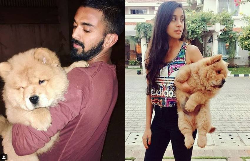 क्रिकेट फैन्स को इनकी शादी की खबर का इंतजार है। KL Rahul, KL Rahul gf, KL Rahul girlfriend, KL Rahul gf pics, KL Rahul gf photos, KL Rahul pics, KL Rahul photos, KL Rahul girlfriend pics, KL Rahul girlfriend photos, KL Rahul girlfriend pictures, Elixir Nahar, Elixir Nahar pics, Elixir Nahar photos, Elixir Nahar pictures, Elixir Nahar bf, Elixir Nahar boyfriend, Elixir Nahar new pics, Elixir Nahar new photos, photo gallery
