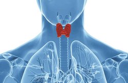 सेहत: पाएं थायराइड से मुक्ति, जानिए कारण और उपचार