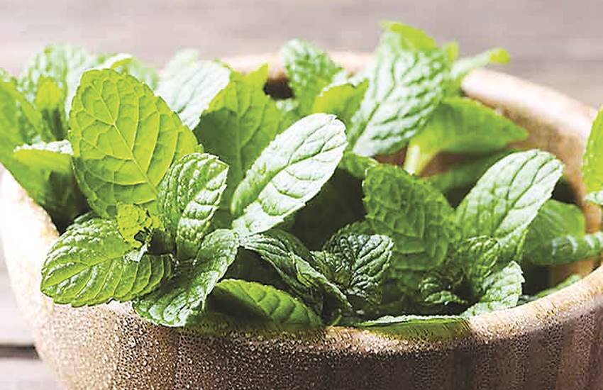 प्रतीकात्मक तस्वीर। प्रतीकात्मक तस्वीर।