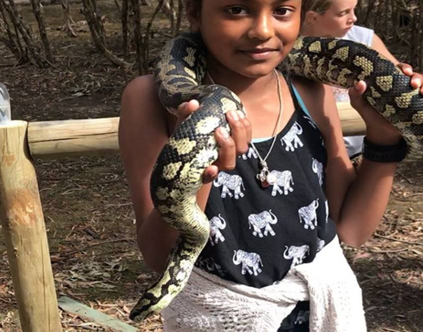 Shikhar Dhawan, Shikhar Dhawan son, Shikhar Dhawan son pics, Zoravar, Zoravar with snake, Zoravar and snake, Zoravar snake, Zoravar pics, Zoravar photos, Zoravar in australia, Shikhar Dhawan son photos, Shikhar Dhawan pics, Shikhar Dhawan photos, Shikhar Dhawan family, Shikhar Dhawan family pics, Shikhar Dhawan family photos, Shikhar Dhawan wife, Shikhar Dhawan wife pics, photo gallery