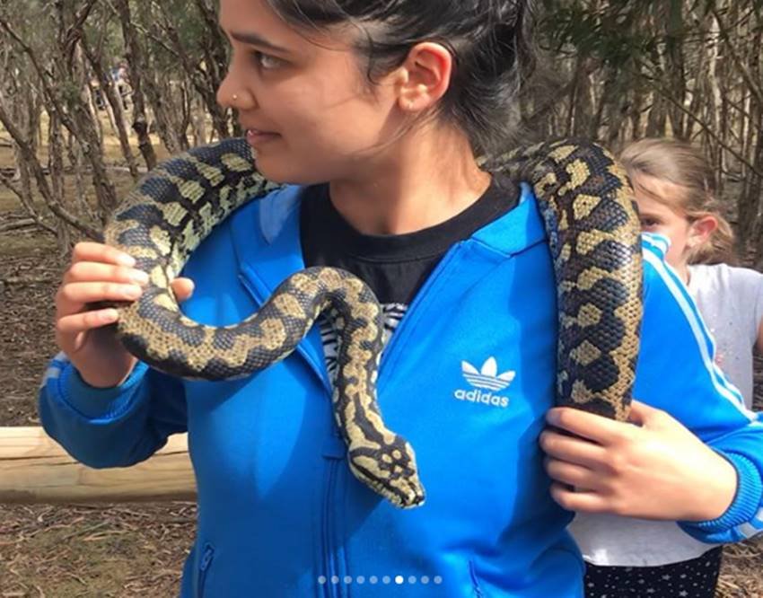 Shikhar Dhawan, Shikhar Dhawan son, Shikhar Dhawan son pics, Zoravar, Zoravar with snake, Zoravar and snake, Zoravar snake, Zoravar pics, Zoravar photos, Zoravar in australia, Shikhar Dhawan son photos, Shikhar Dhawan pics, Shikhar Dhawan photos, Shikhar Dhawan family, Shikhar Dhawan family pics, Shikhar Dhawan family photos, Shikhar Dhawan wife, Shikhar Dhawan wife pics, photo gallery