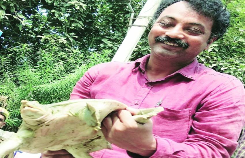 chambal, Chambal Sanctuary, Turtles, making chips by Turtles, Turtles killed in chambal, political news in hindi, national news in hindi, international news in hindi, state news in hindi, latest news in hindi, world news in hindi, jansatta