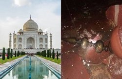 130 किमी प्रति घंटे की हवाओं ने पहुंचाया ताज महल को नुकसान, गुंबदें और मीनार टूटी