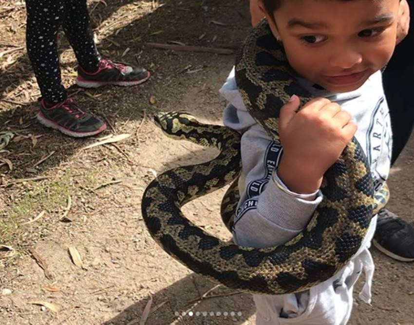 Shikhar Dhawan, Shikhar Dhawan son, Shikhar Dhawan son pics, Zoravar, Zoravar with snake, Zoravar and snake, Zoravar snake, Zoravar pics, Zoravar photos, Zoravar in australia, Shikhar Dhawan son photos, Shikhar Dhawan pics, Shikhar Dhawan photos, Shikhar Dhawan family, Shikhar Dhawan family pics, Shikhar Dhawan family photos, Shikhar Dhawan wife, Shikhar Dhawan wife pics, photo gallery