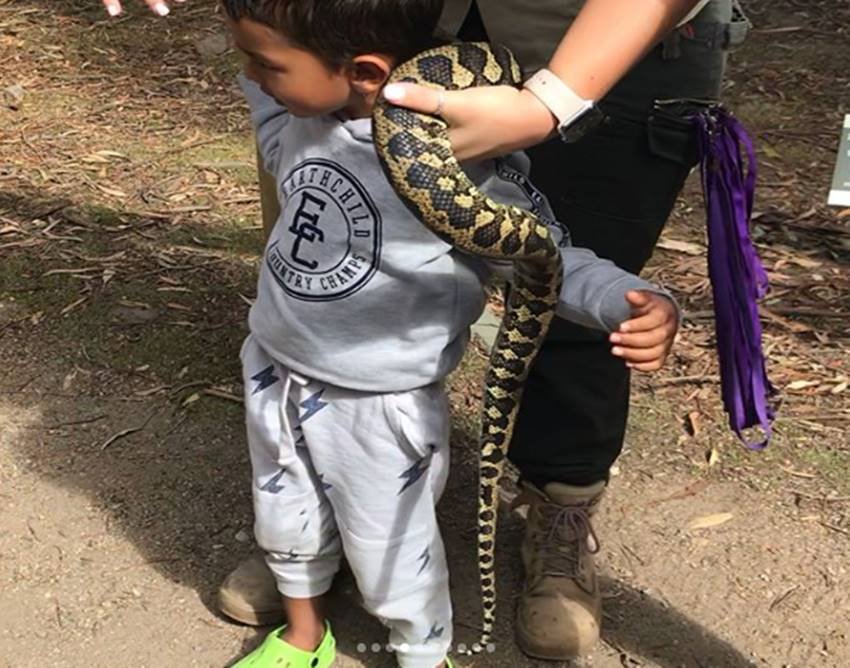 Shikhar Dhawan, Shikhar Dhawan son, Shikhar Dhawan son pics, Zoravar, Zoravar with snake, Zoravar and snake, Zoravar snake, Zoravar pics, Zoravar photos, Zoravar in australia, Shikhar Dhawan son photos, Shikhar Dhawan pics, Shikhar Dhawan photos, Shikhar Dhawan family, Shikhar Dhawan family pics, Shikhar Dhawan family photos, Shikhar Dhawan wife, Shikhar Dhawan wife pics, photo gallery