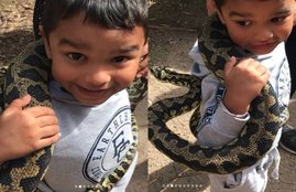 Shikhar Dhawan, Shikhar Dhawan son, Shikhar Dhawan son pics, Zoravar, Zoravar with snake, Zoravar and snake, Zoravar snake, Zoravar pics, Zoravar photos, Zoravar in australia, Shikhar Dhawan son photos, Shikhar Dhawan pics, Shikhar Dhawan photos, Shikhar Dhawan family, Shikhar Dhawan family pics, Shikhar Dhawan family photos, Shikhar Dhawan wife, Shikhar Dhawan wife pics, photo gallery