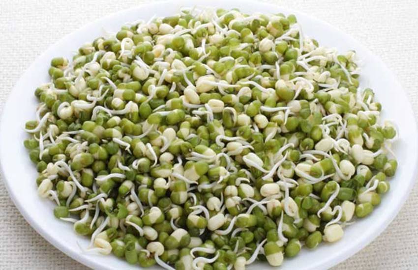 sprouts, sprouts salad, sprouts benefits, sprouts benefits in hindi, Benefits of Sprouting, Health benefits of eating sprouts, Raw Sprouts, hair, hair benefits of Raw Sprouts, Raw Sprouts benefits for hairs, health news in hindi, health tips in hindi, healthy lifestyle tips in hindi, lifestyle news in hindi, natural remedies in hindi, home remedies in hindi, ayurvedic remedies, jansatta