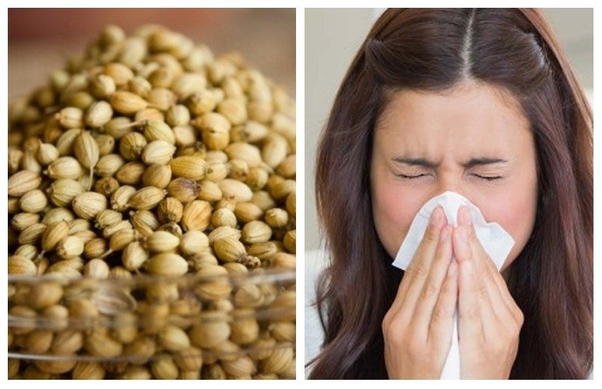 coriander seeds, coriander leaves, coriander seeds benefits, coriander leaves benefits, coriander seeds nutritions in hindi, coriander leaves nutritions in hindi, coriander seeds benefits in hindi, coriander seeds benefits for thyroid, coriander seeds for weight loss, how to use coriander seeds, benefits of coriander seeds soaked in water, coriander seeds benefits and side effects, health tips in hindi, health news in hindi, healthy lifestyle tips in hindi, lifestyle news in hindi, home remedies in hindi, ayurvedic remedies in hindi, natural remedies in hindi, jansatta