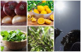 home remedies, home remedies for heat stroke, heat stroke remedies, heat stroke prevention, heat stroke treatment in hindi, health tips in hindi, health news in hindi, beauty tips in hindi, healthy life tips in hindi, health, lifestyle news in hindi, healthy lifestyle, healthy lifestyle tips in hindi, jansatta