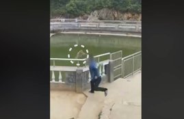 Man, monkey, water pool, china, viral video, Hindi news, News in Hindi, Jansatta
