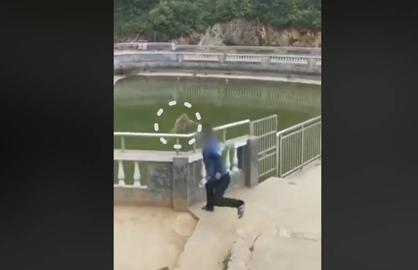 Man, monkey, water pool, china, viral video, Hindi news, News in Hindi, Jansatta