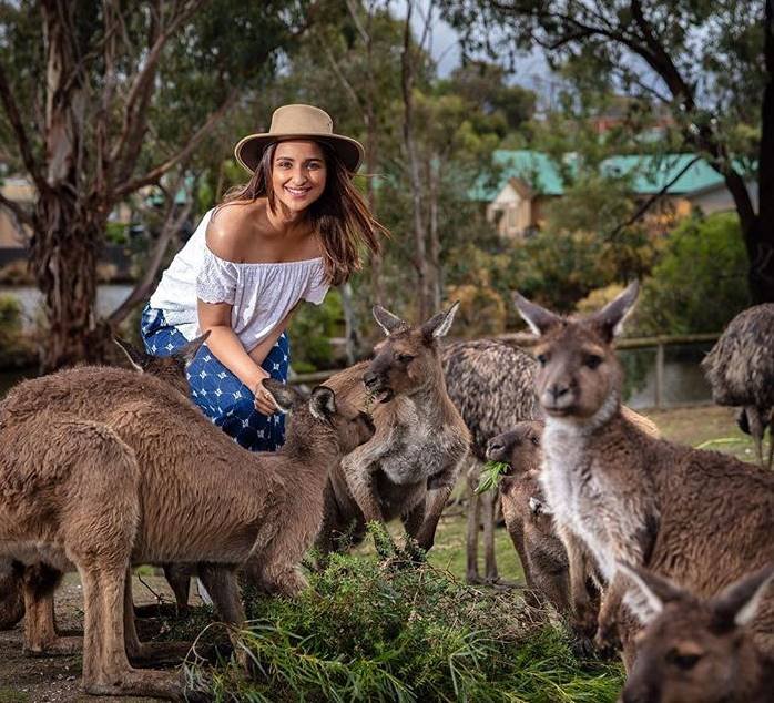 "Parineeti Chopra, Australia Tourism, Video, Social Media, Ballarat Wildlife, Oakridge wine, parineeti chopra all photos