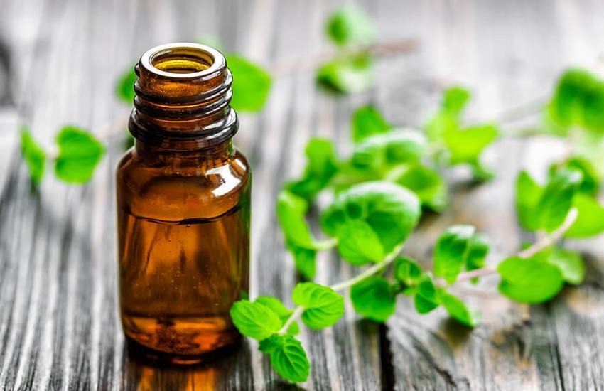 peppermint oil, hair fall, hair strong, moisturised and beautiful, peppermint oil uses in hindi, peppermint oil in hindi in hindi, beauty tips in hindi, hair care tips in hindi, hair beauty tips, hair fall, hair moisturising, lifestyle news in hindi, jansatta