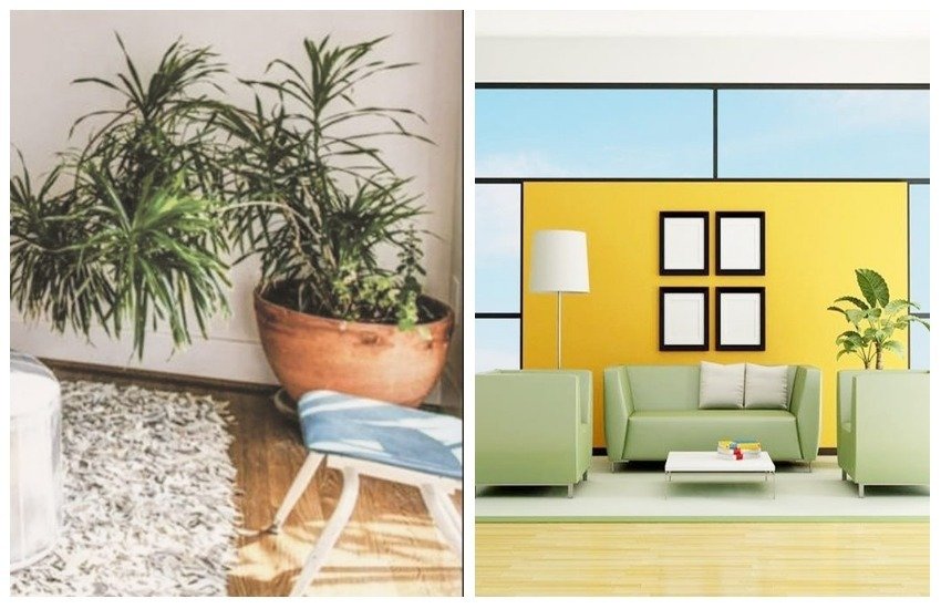 jansatta, ravivari, how to decorate a room, how to design a home, home decoration in hindi, home decoration tips in hindi, jansatta tips for home decoration, architect, interior decoration, interior design, interior decoration ideas, interior decoration of house in hindi jansatta, ravivari, how to decorate a room, how to design a home, home decoration in hindi, home decoration tips in hindi, jansatta tips for home decoration, architect, interior decoration, interior design, interior decoration ideas, interior decoration of house in hindi