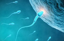 अलर्ट! हर साल दो फीसदी घट रही स्पर्म क्वालिटी,धरती से खत्म हो सकता है इंसान