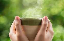 डायबिटीज और नींद की समस्या से हैं परेशान तो ऐसे बनाएं प्याज की चाय, जानिए बाकी फायदे