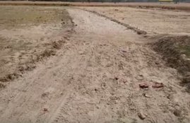 steal bricks from road