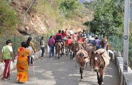 Vaishno Devi, Maneka Gandhi, Vaishno Devi Holy Shrine, Vaishno Devi Pilgrims, Jammu Kashmir, Mehbooba mufti, mules, ponies, Hindi news, News in Hindi, Jansatta