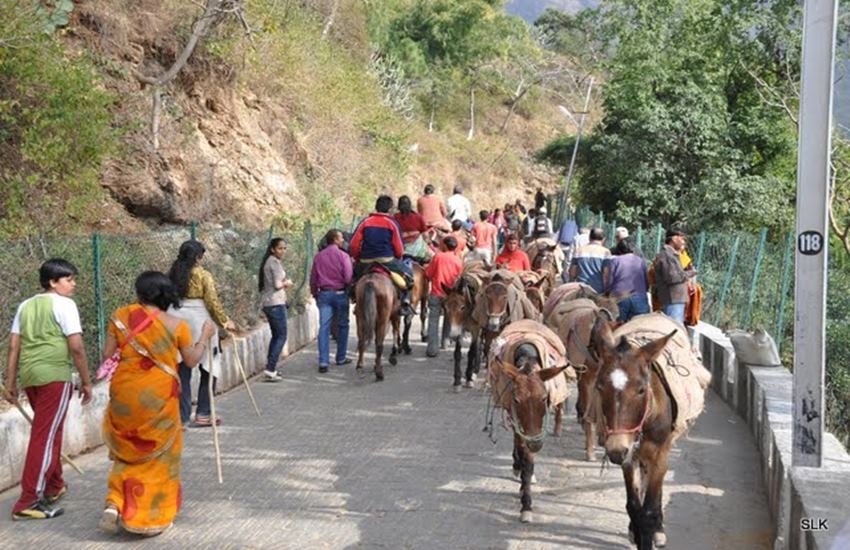 Vaishno Devi, Maneka Gandhi, Vaishno Devi Holy Shrine, Vaishno Devi Pilgrims, Jammu Kashmir, Mehbooba mufti, mules, ponies, Hindi news, News in Hindi, Jansatta