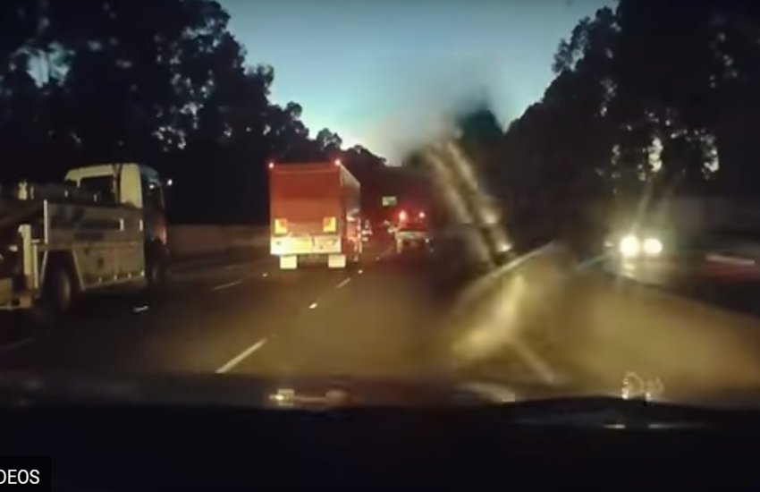 ऑस्ट्रेलिया में कार पर आ कूदा भालू (फोटो सोर्स - वीडियो स्क्रीनशॉट) ऑस्ट्रेलिया में कार पर आ कूदा भालू (फोटो सोर्स - वीडियो स्क्रीनशॉट)