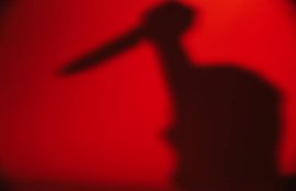 Germany, Germany rape, Germany murder, Germany murder of girl, Germany issues, Germany and refugi, refugi in Germany, refugi problem, refugi problem in germany, refugi problem in europe, refugi problem in india, 14 Year Old Girl, international news