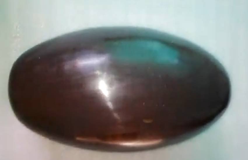 Narmdeshwar Shivling, Narmdeshwar Shivling facts, Narmdeshwar Shivling benefits, Narmdeshwar Shivling worship, Narmdeshwar Shivling sacred, Narmdeshwar Shivling pray, Narmdeshwar, Narmdeshwar worship, Religion news