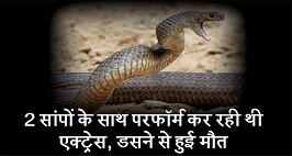 कर्नाटक के पोलिंग सेंटर पर निकला सांप(फोटो वीडियो से)