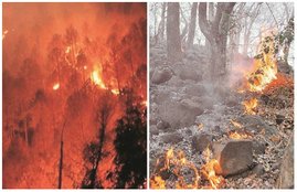 fire, Uttarakhand fires, forest fire, forest fire in india, forest news, uttarakhand, national news in hindi, international news in hindi, political news in hindi, economy, india news in hindi, world news in hindi, jansatta editorial, jansatta article, hindi news, jansatta