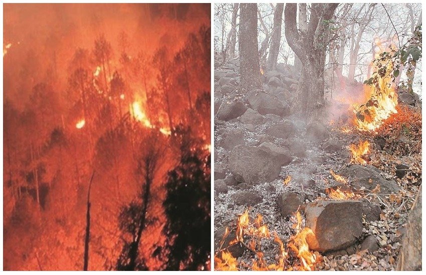 fire, Uttarakhand fires, forest fire, forest fire in india, forest news, uttarakhand, national news in hindi, international news in hindi, political news in hindi, economy, india news in hindi, world news in hindi, jansatta editorial, jansatta article, hindi news, jansatta fire, Uttarakhand fires, forest fire, forest fire in india, forest news, uttarakhand, national news in hindi, international news in hindi, political news in hindi, economy, india news in hindi, world news in hindi, jansatta editorial, jansatta article, hindi news, jansatta