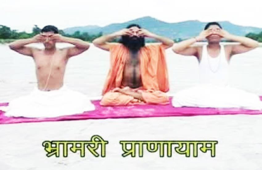 भ्रामरी प्राणायाम (Source: You Tube)