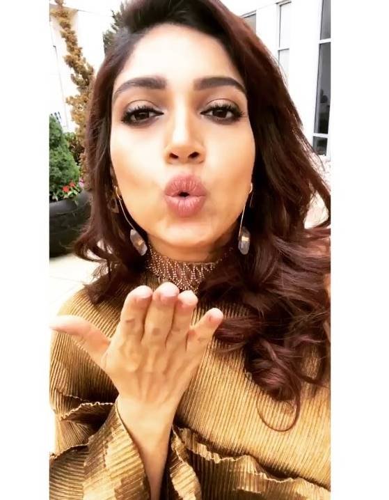 Bhumi Padnekar, Bhumi Padnekar fashion, Bollywood fashion, Toilet Ek Prem Katha star, Bhumi Pednekar red carpet looks, Bhumi Pednekar films, Lust Stories, Bhumi sari