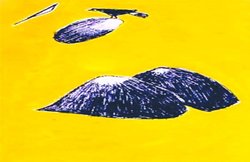 ललित प्रसंगः पंक्षियों का आना