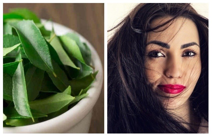 hair fall, hair fall solutions, home remedies for hair fall and regrowth, hair fall treatment, hair fall treatment by curry leaves, curry leaves benefits in hindi, curry leaves for hair, how to use cuury leaves for hair, health tips in hindi, home remedies, health news in hindi, healthy lifestyle news in hindi, natural remedies. lifestyle news in hindi, jansatta hair fall, hair fall solutions, home remedies for hair fall and regrowth, hair fall treatment, hair fall treatment by curry leaves, curry leaves benefits in hindi, curry leaves for hair, how to use cuury leaves for hair, health tips in hindi, home remedies, health news in hindi, healthy lifestyle news in hindi, natural remedies. lifestyle news in hindi, jansatta