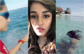 video of disha patani, actress Disha Patani, disha patani in Bikini, disha underwater, disha patani doing handstand underwater, baaghi2 actress Disha Patani, sisha patani in Bikini underwater, entertainment news, bollywood news, television news, entertainment news, entertainment news, bollywood news, television news, entertainment news