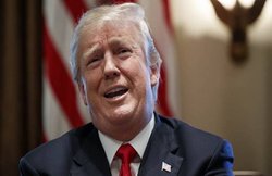 वजन घटाने जा रहे डोनाल्ड ट्रंप, नहीं करेंगे मांस और चीजबर्गर का सेवन