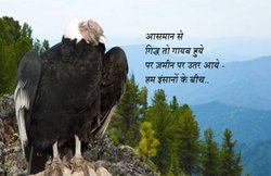 कविताः आसमान से गिद्ध गायब नहीं हुए हैं, जमीन पर उतर आए हैं