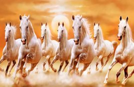 Horse, Horse facts, Horse benefits, Horse and religion, Horse and astrology, Horse worship, Horse pray, Horse and god, Horse pic, Horse photo, Horse photo worship, worship of Horse, Religion News