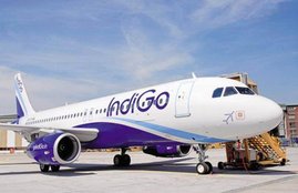 indigo airlines
