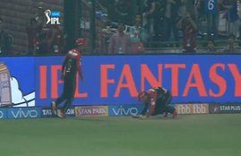 ipl