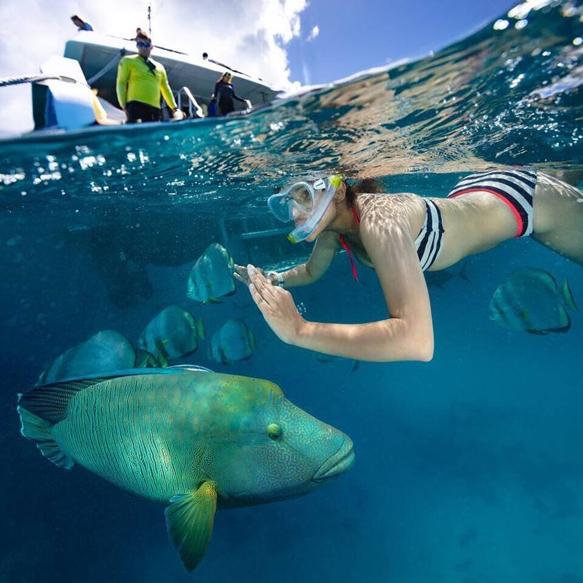 Bollywood, Parineeti Chopra, Great Barrier Reef, Australia, Scuba Diving, arjun kapoor, melbourne, namastey london, Sydney, Namaste England