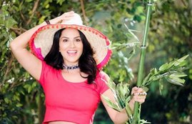 Bigg Boss, Bigg Boss sunny leone, Bigg Boss season 7, Bigg Boss sunny leone love, Bigg Boss show, Bigg Boss salman khan, Bigg Boss gauhar khan