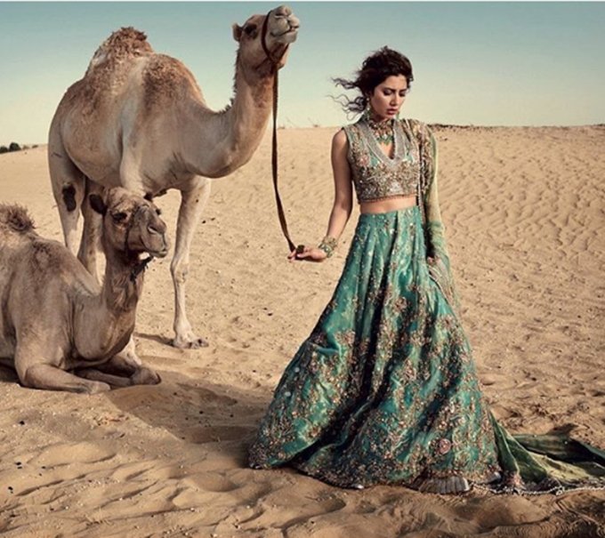 Fawad Khan, Mahira Khan, fawad khan and mahira royal couple of screen, humsafar stars fawad and mahira, mahira fawad looking good together, mahira and fawad in photoshoot, television news, entertainment news,entertainment news, bollywood news, television news, entertainment news