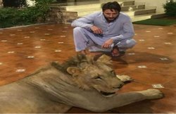 क्रिकेटर ने घर में बांधा शेर, हुए जांच के आदेश