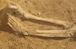 मुजफ्फरनगर: बेटी की हत्‍या कर ‘दृश्‍यम’ स्‍टाइल में छिपाई लाश, ऐसे खुला राज