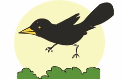 नन्हीं दुनियाः कविता और शब्द भेद