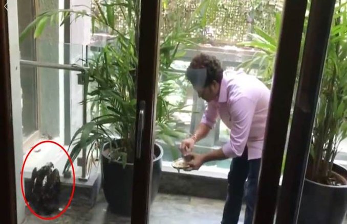 IND VS AUS: सचिन तेंदुलकर ने टीम इंडिया को दिया जीत का गुरुमंत्र, बताया ये खास प्लान