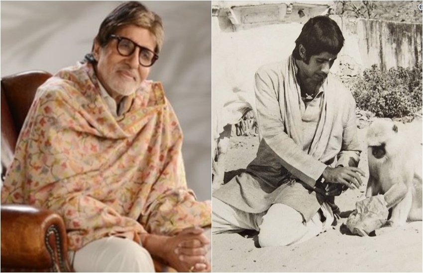 Amitabh Bachchan, Amitabh Bachchan story, Amitabh Bachchan twitter, Amitabh Bachchan film, Amitabh Bachchan throwback, Amitabh Bachchan monkey story, jansatta, entertainment news
