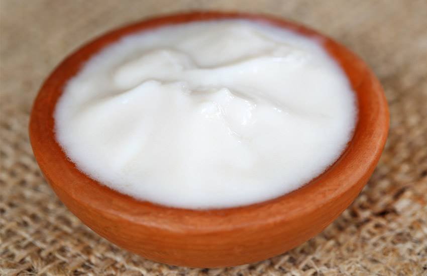 Curd, Curd in worship, Curd tricks, Curd and religion, Curd religious facts, Curd facts, Curd unknown facts, Curd benefits, Curd and god, Curd and prayer, Curd in Hindu Religion,Curd in Hindu, Five Tricks, Five Tricks of curd, religion news