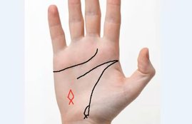 Fish Marks, Fish Marks On hand, Fish Marks meaning, Fish Marks on palm, Fish Marks says, Fish Marks benefits, Fish Marks facts, hast rekha, hast rekha science, hast rekha facts, hast rekha and money, Astology news