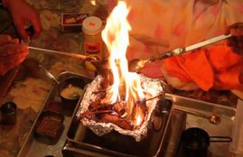 Havan, Havan facts, Havan benefits, Havan methods, Havan in hindu, Havan in hindu religion, Havan importance, Havan reason, Mango Wood, Mango Wood in puja, Wood Uses in Havan, Religion news